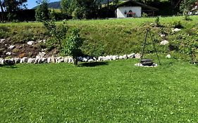 Obern 41